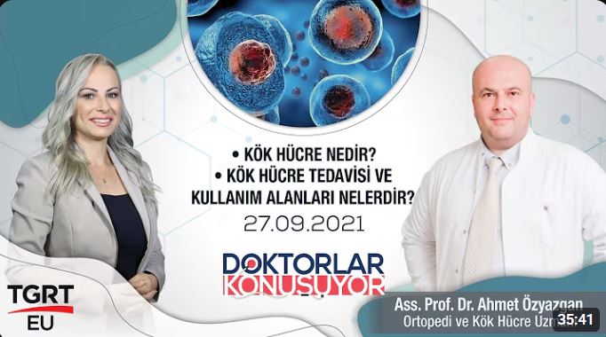 Kök Hücre Nedir? Kök Hücre Tedavisi ve Kullanım Alanları Nelerdir?